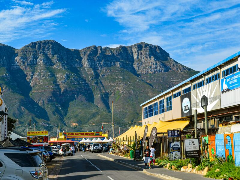Cape Peninsula Half Day Tour