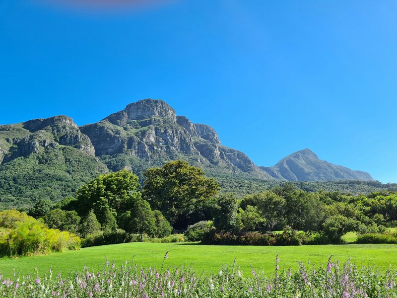 Table Mountain, Kirstenbosch & V&A Waterfront Tour