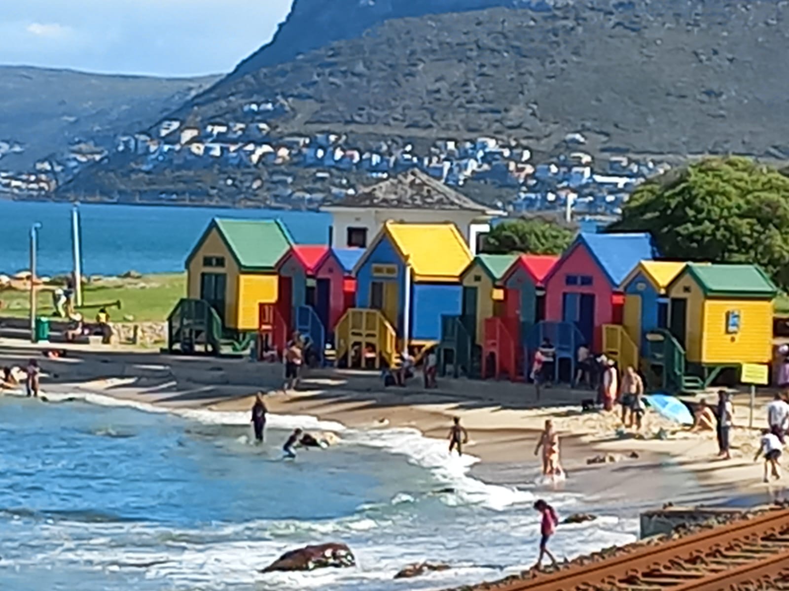 Cape Peninsula Half Day Tour